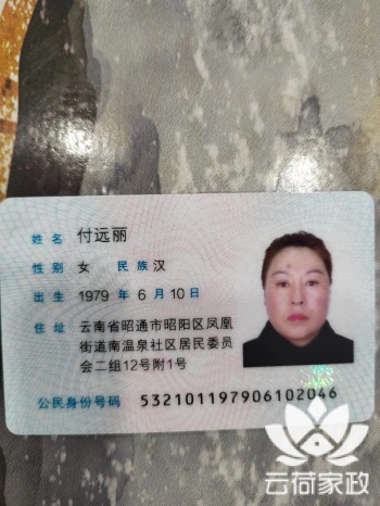 阿姨资料照片