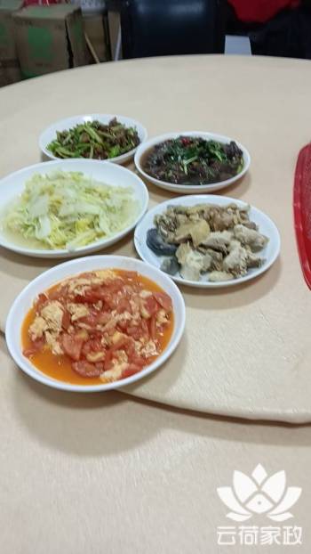 阿姨资料照片