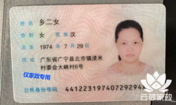 阿姨资料照片