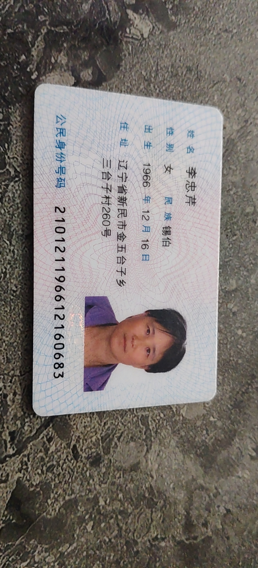 阿姨资料照片