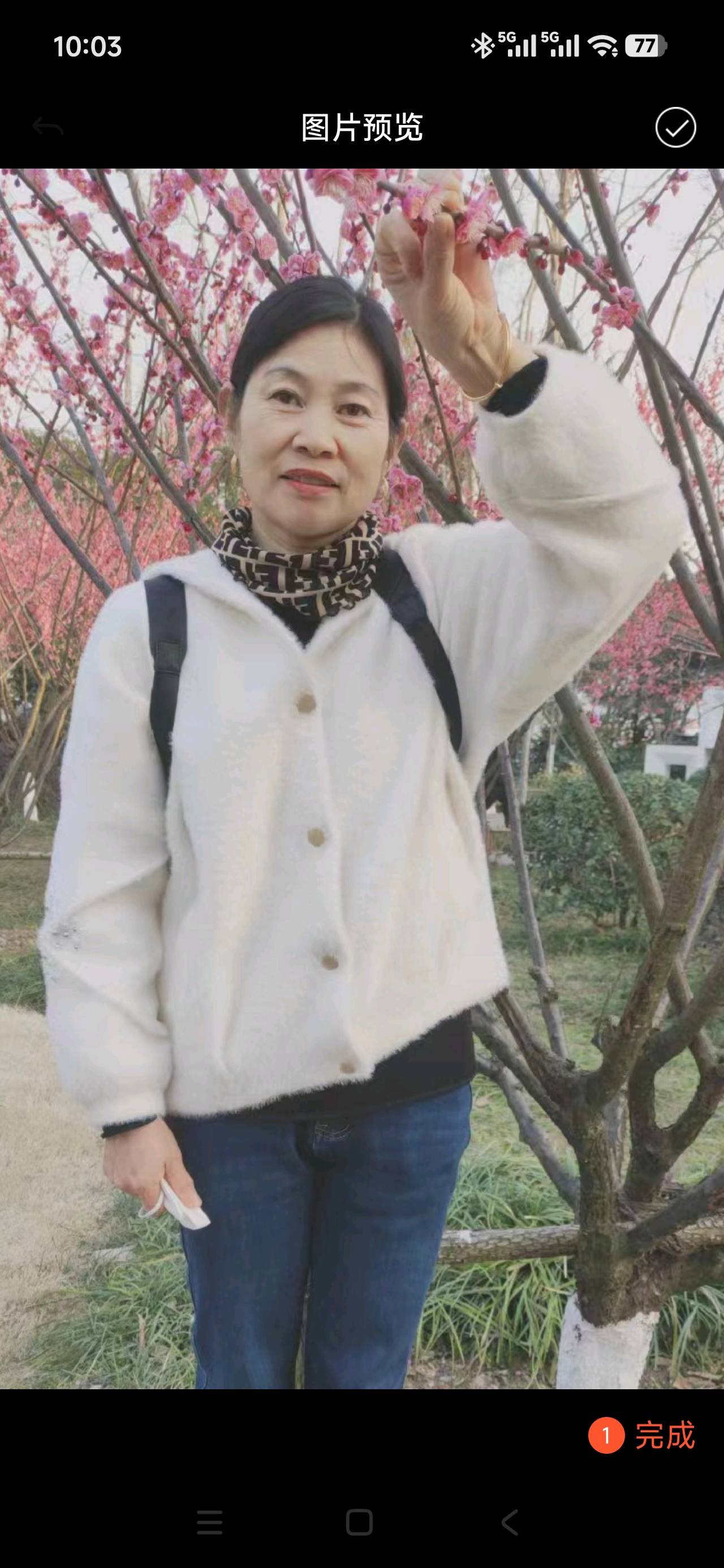 阿姨资料照片