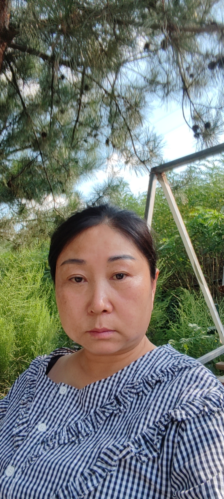 阿姨资料照片