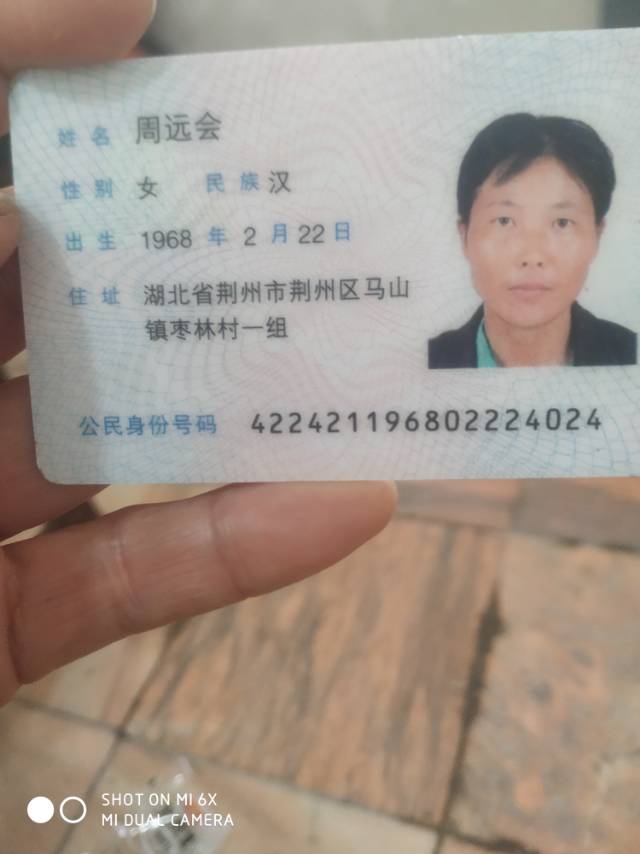 阿姨资料照片