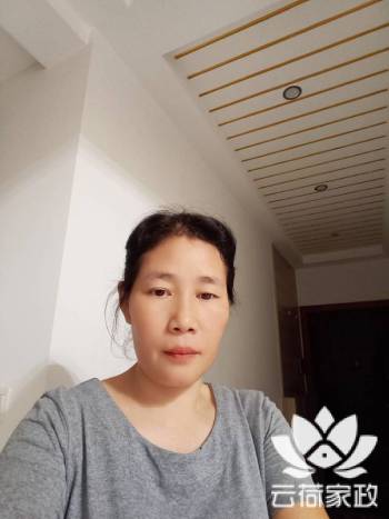 阿姨资料照片