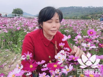 阿姨资料照片