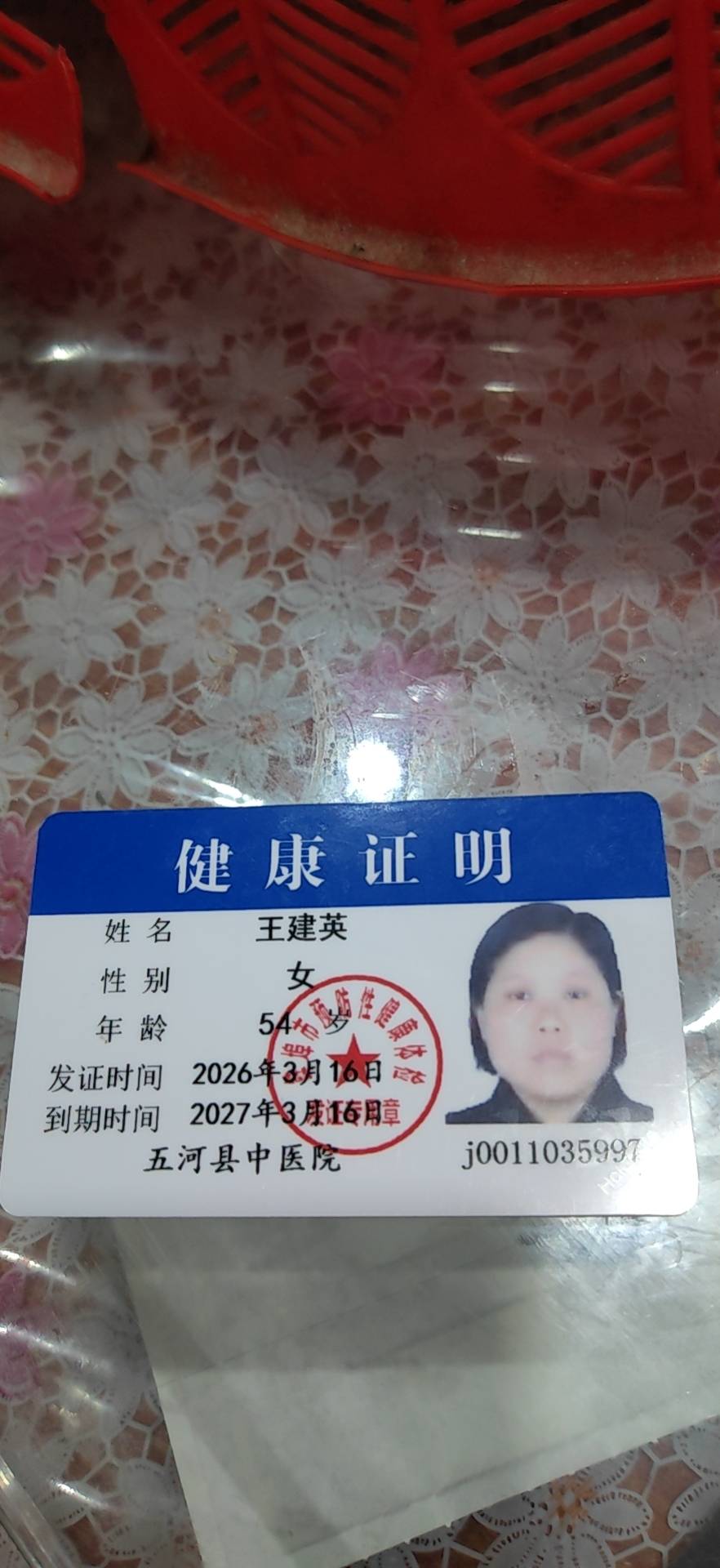 阿姨资料照片