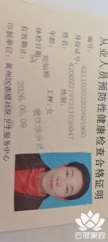 阿姨资料照片