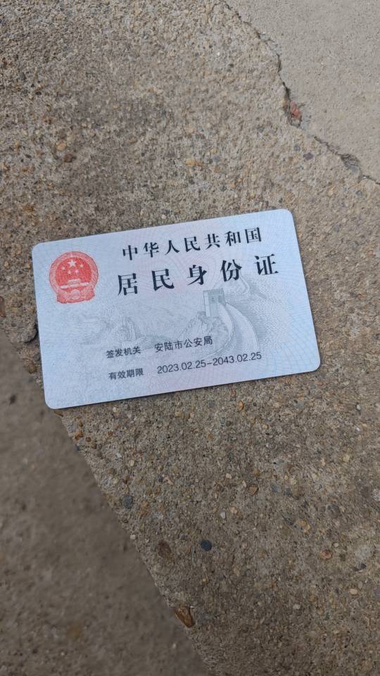 阿姨资料照片