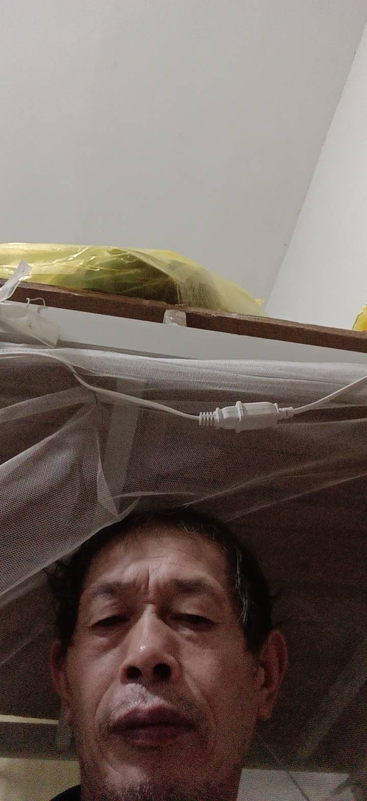 阿姨资料照片