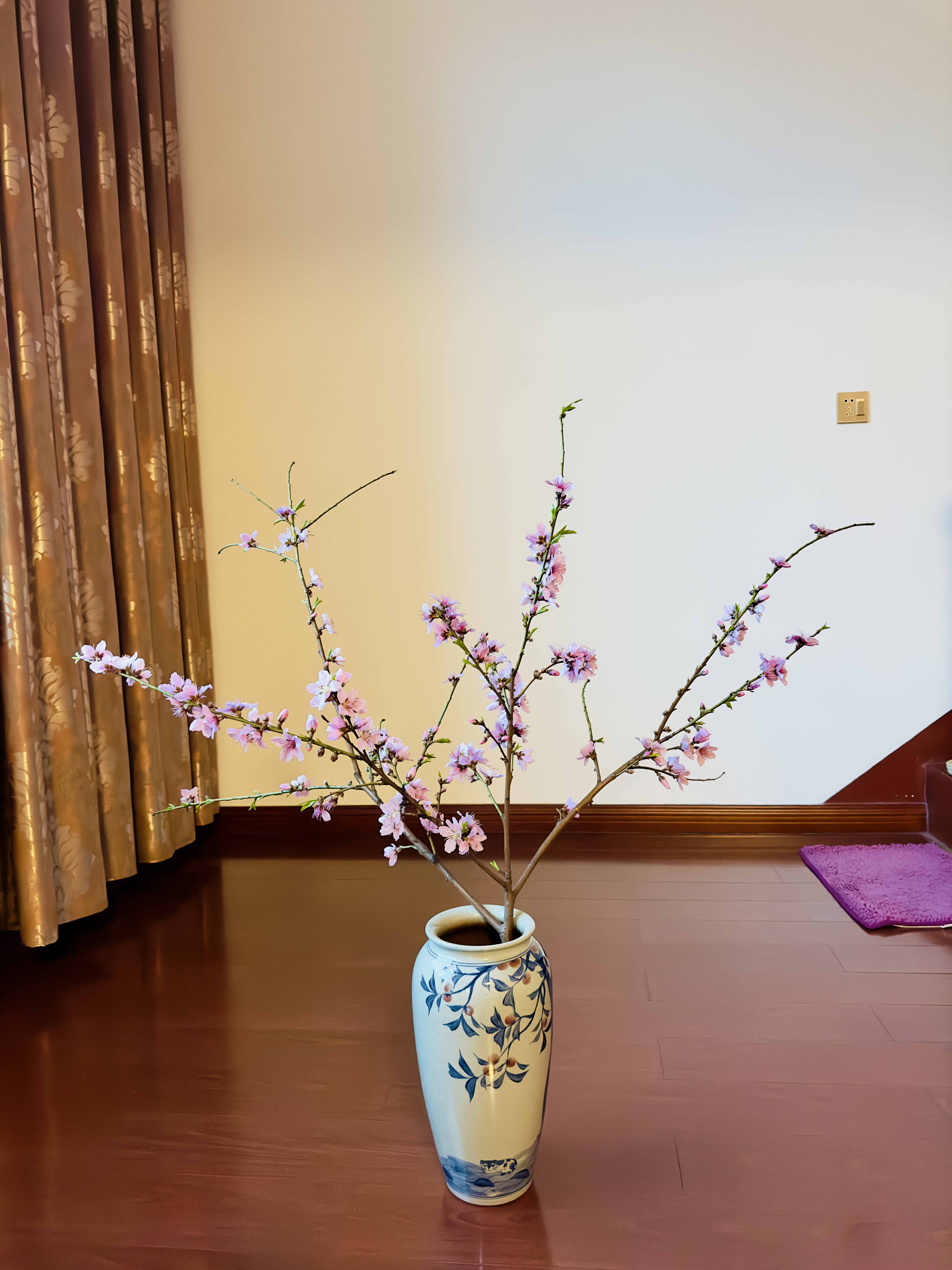 邬阿姨照片
