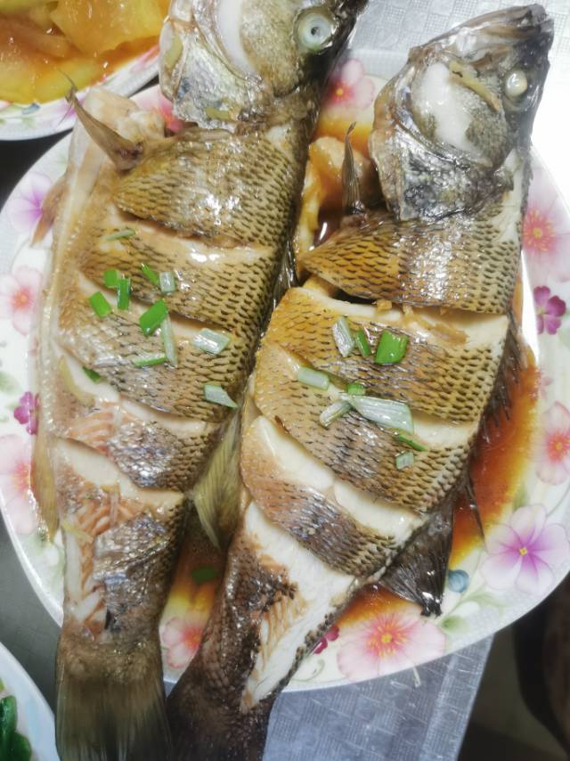 孙阿姨照片