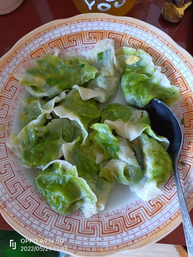 阿姨资料照片