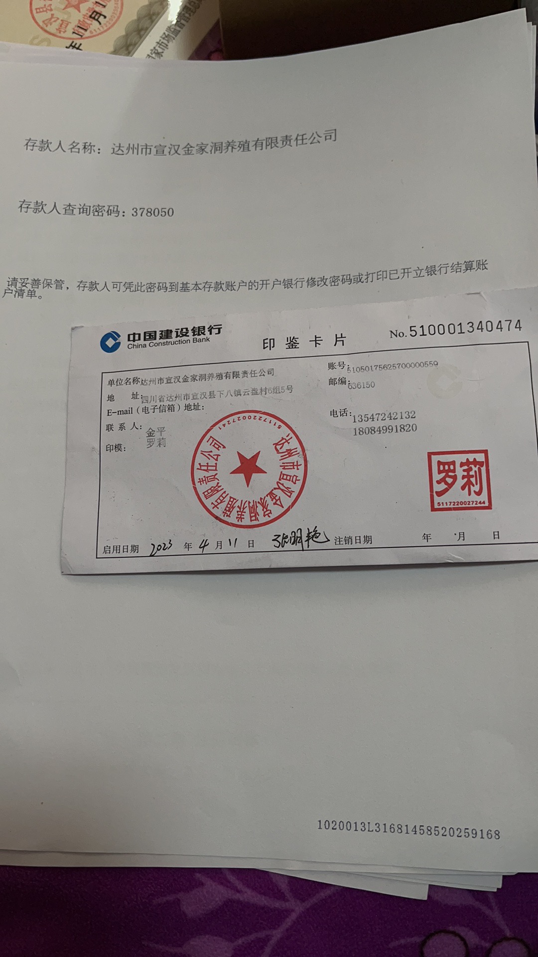 罗阿姨照片