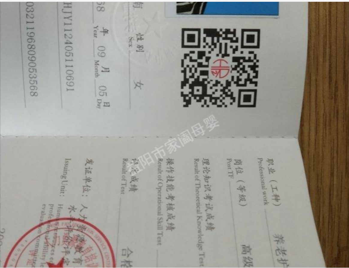 杨阿姨照片