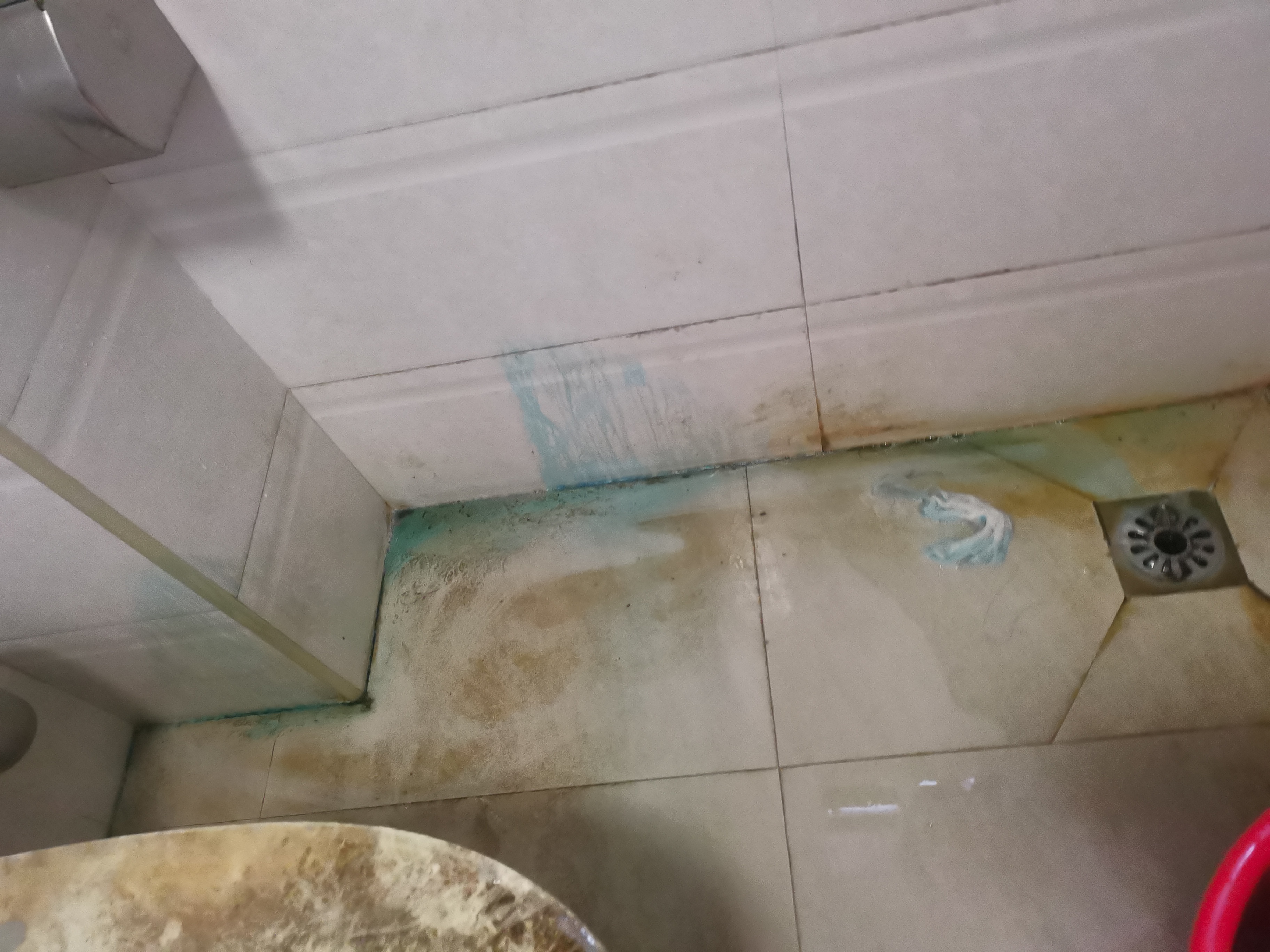 连阿姨照片