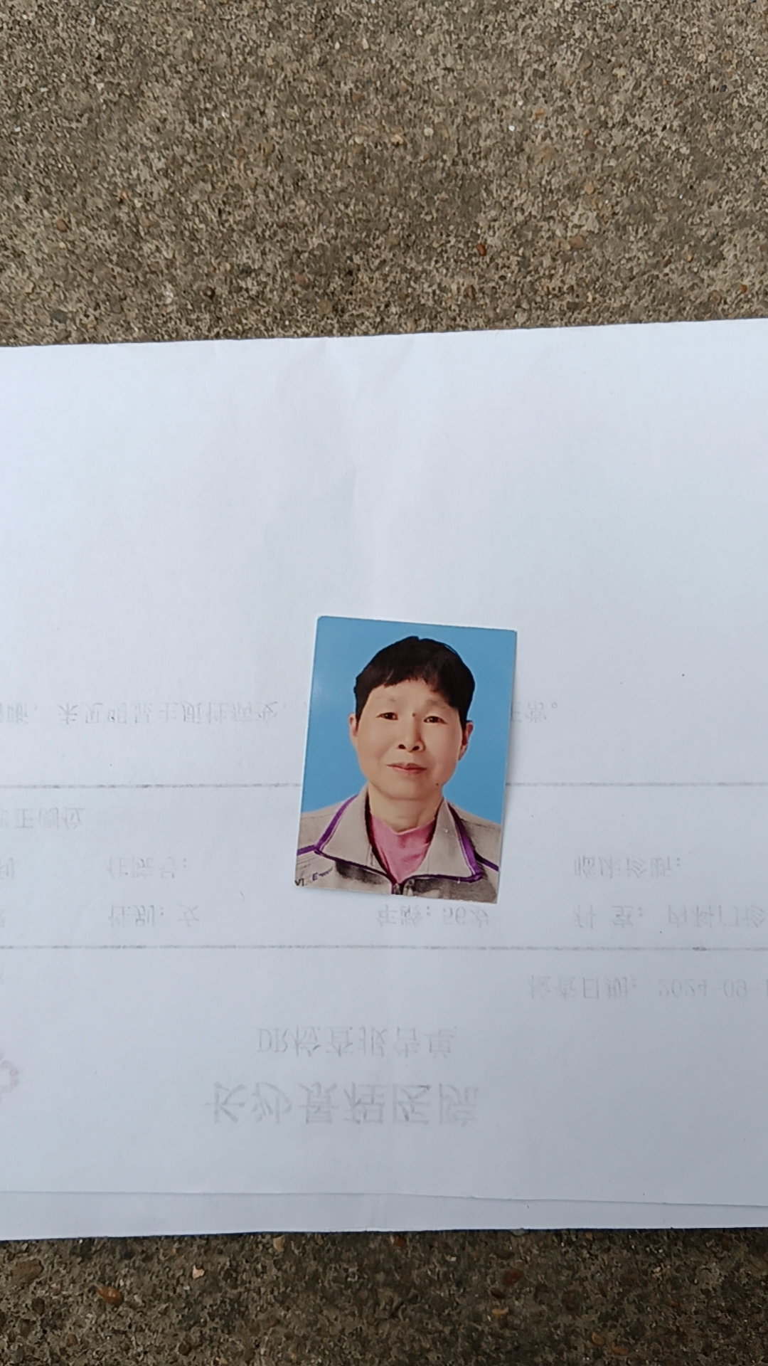 彭阿姨照片