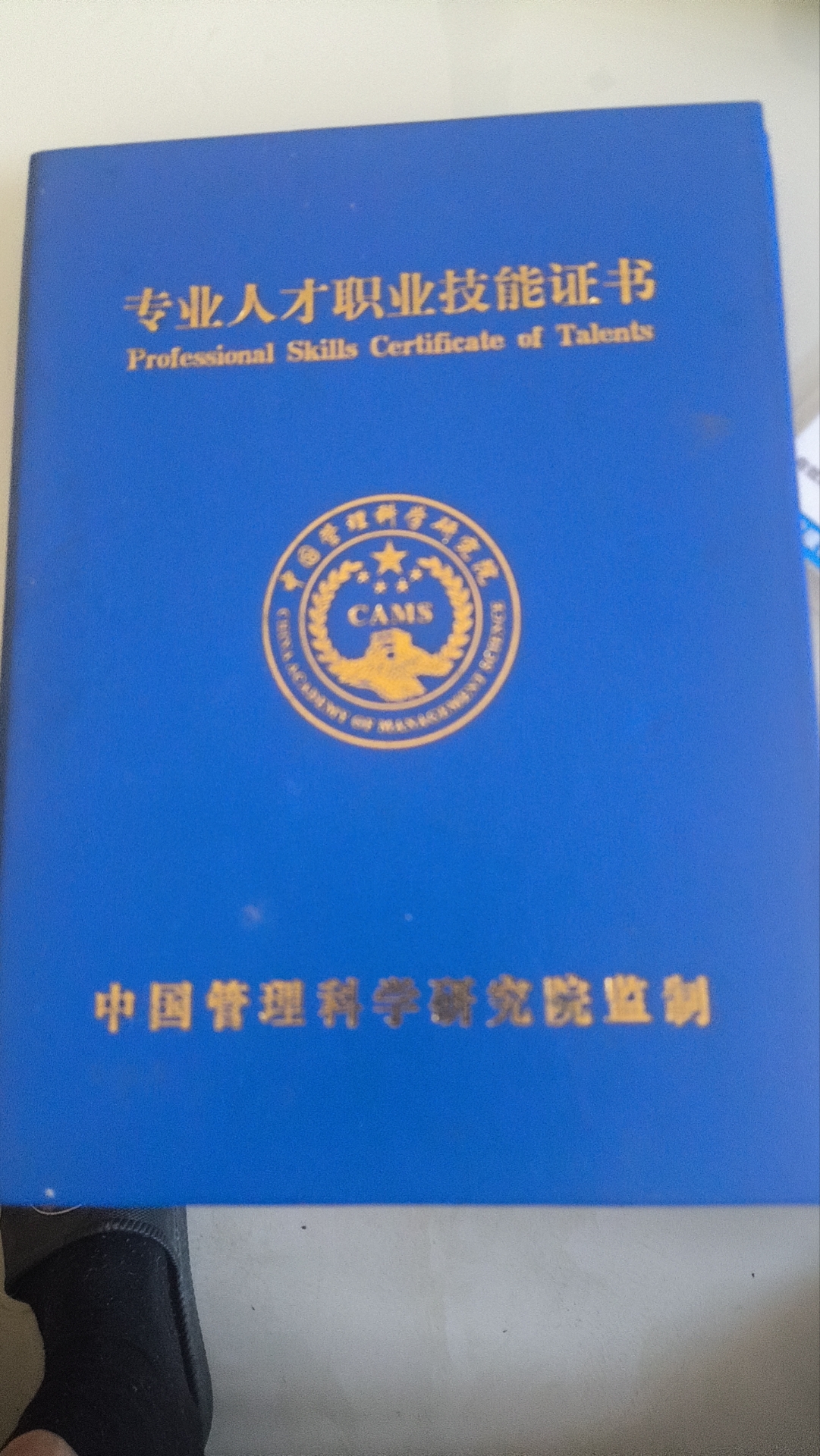 阿姨资料照片