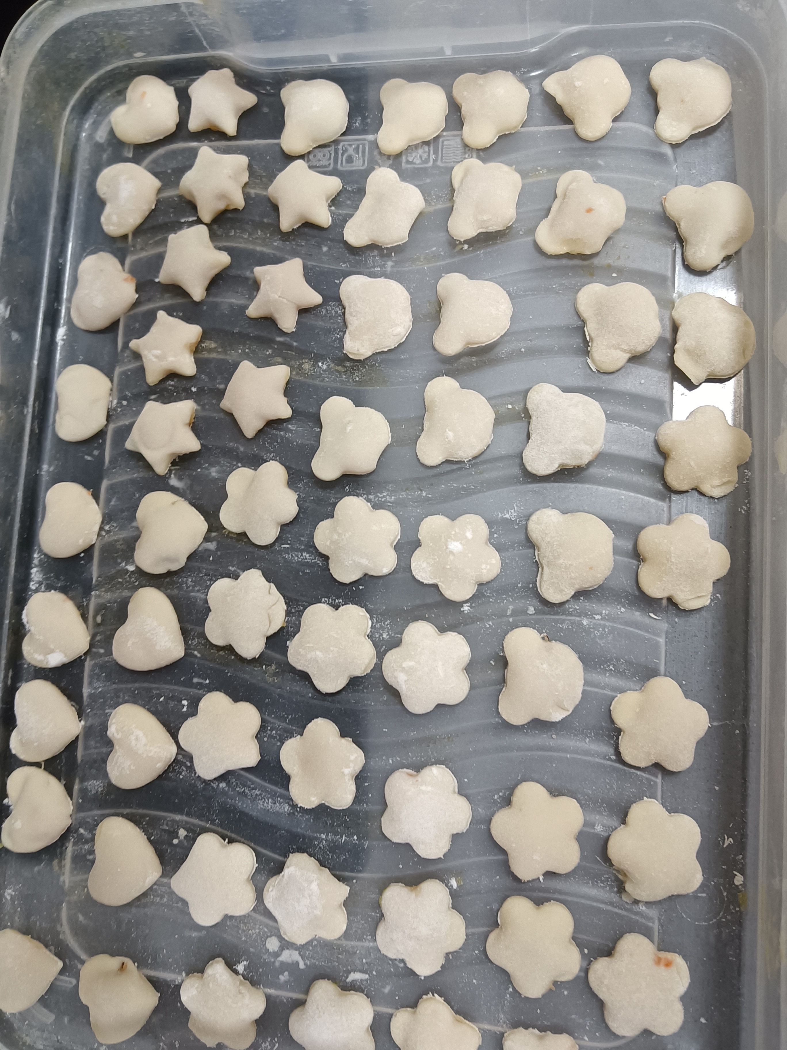王阿姨照片