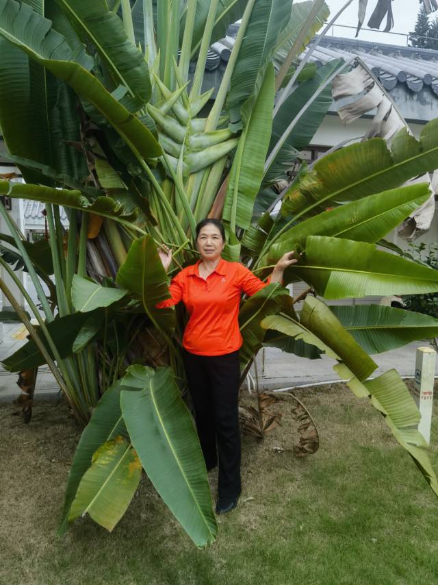余阿姨照片