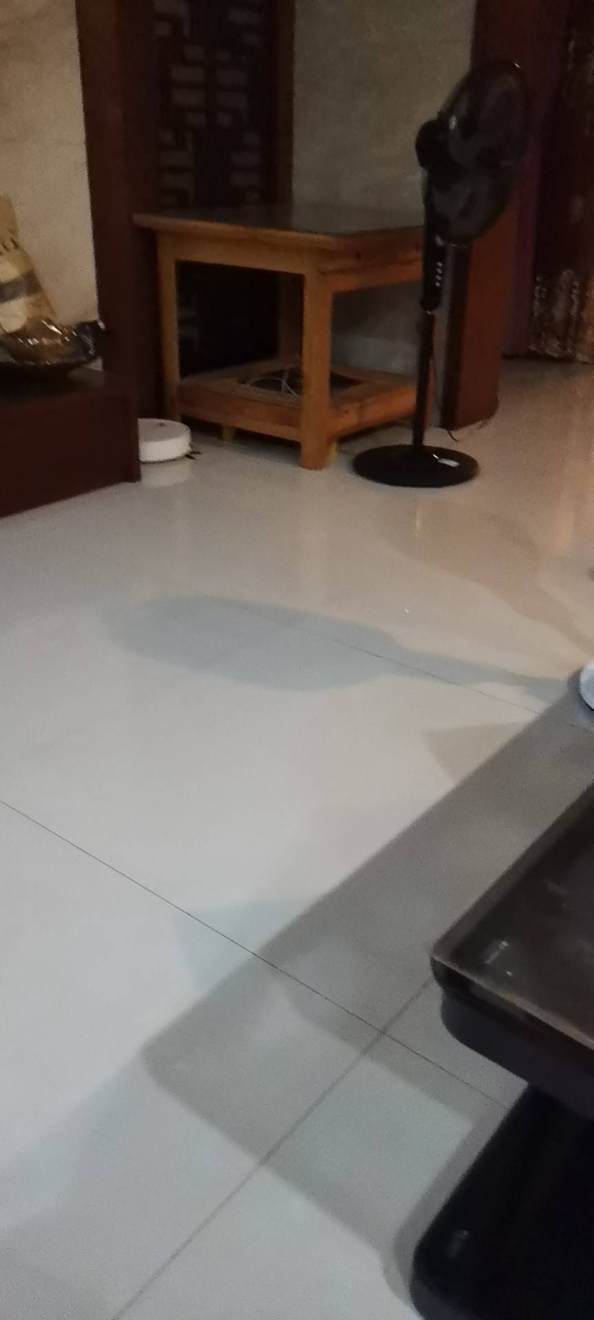 唐阿姨照片