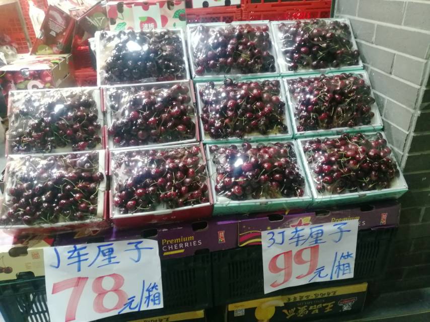 诸阿姨照片