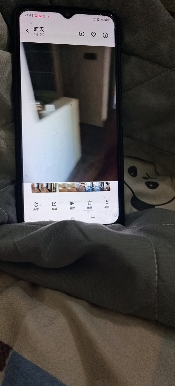 阿阿姨的照片