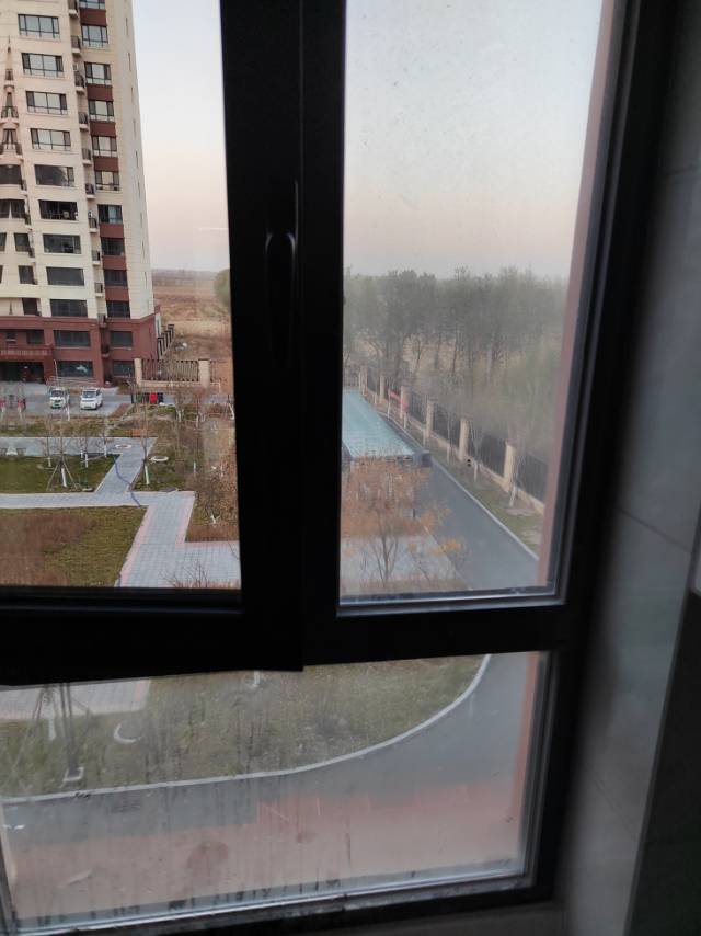 王阿姨照片