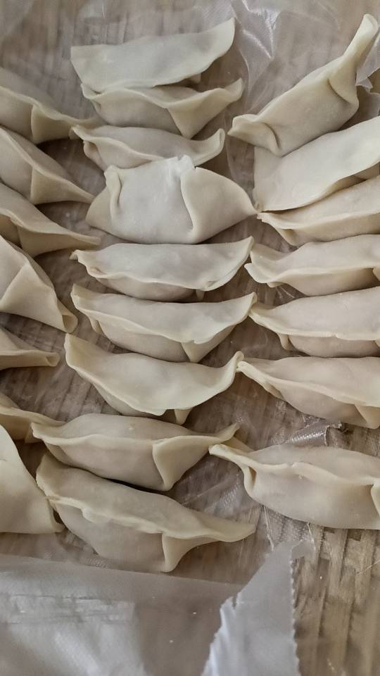 周阿姨照片