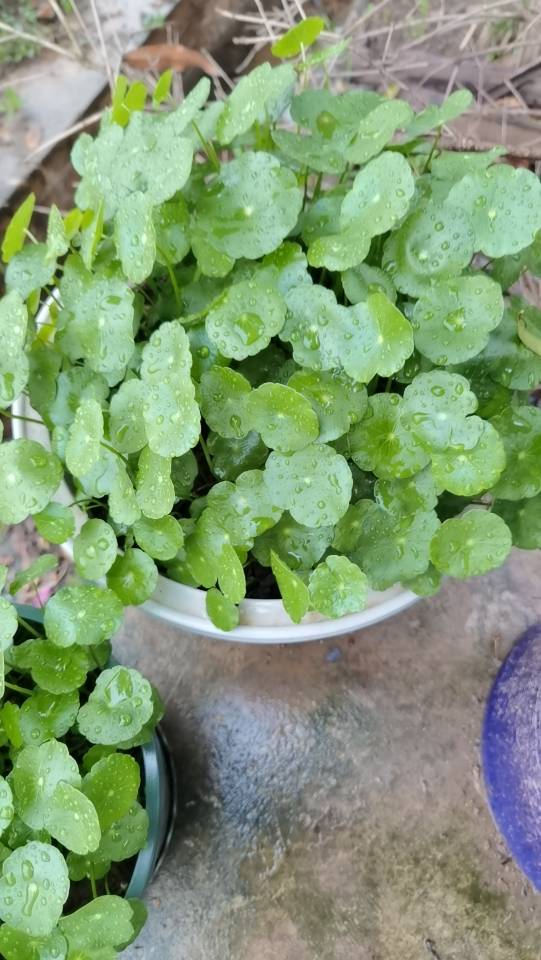 李护工照片
