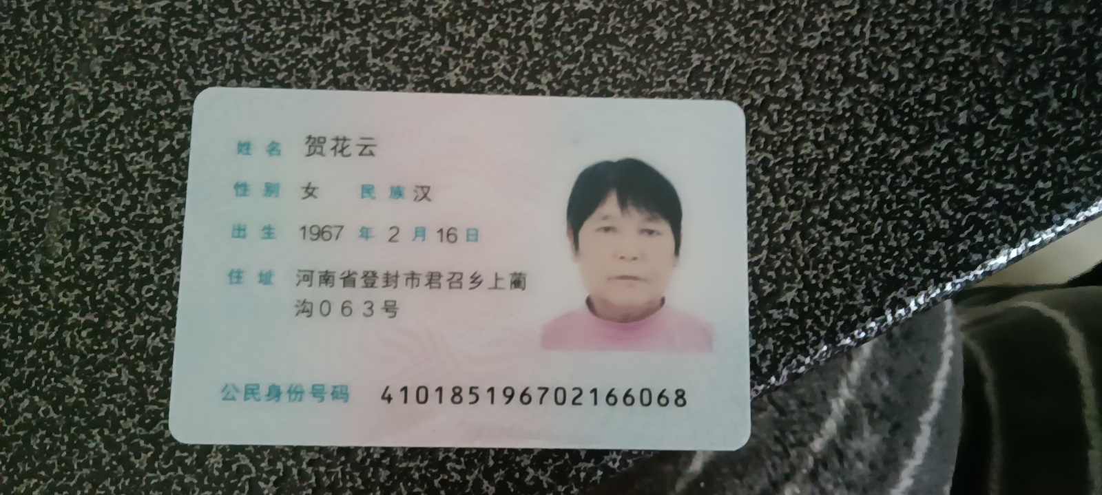 贺阿姨照片