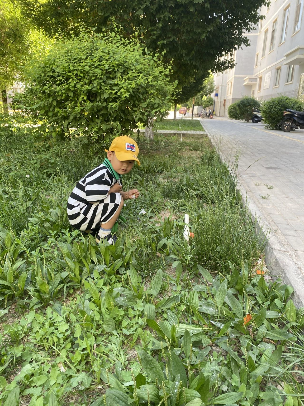 裴阿姨照片