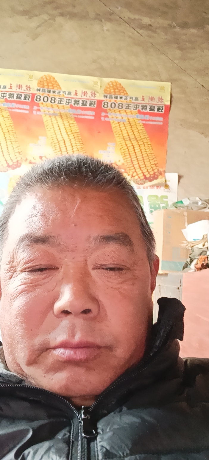 李阿姨照片