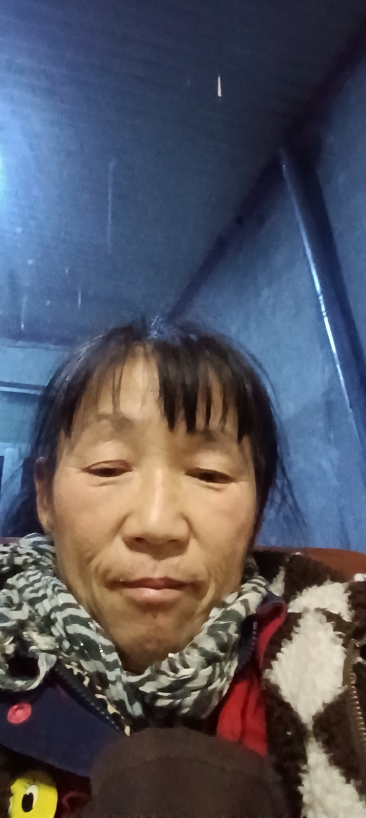 阿姨资料照片