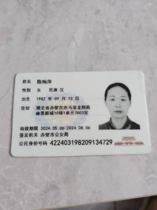 陈阿姨照片