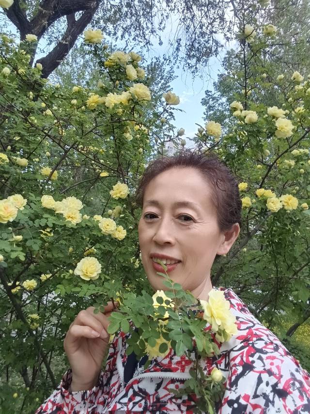 阿姨资料照片