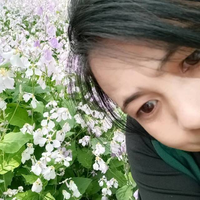 阿姨资料照片