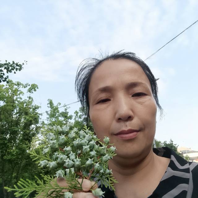 阿姨资料照片