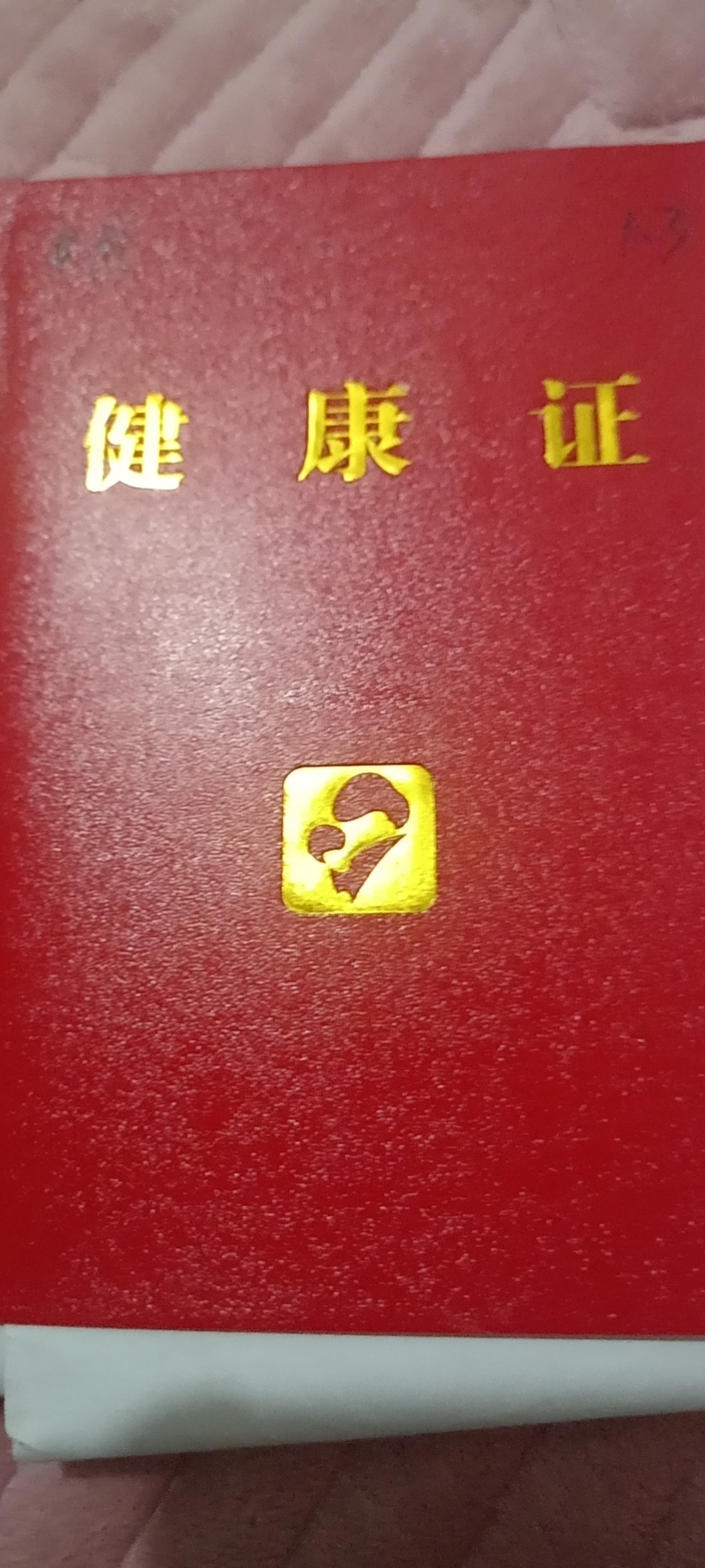 孙阿姨照片