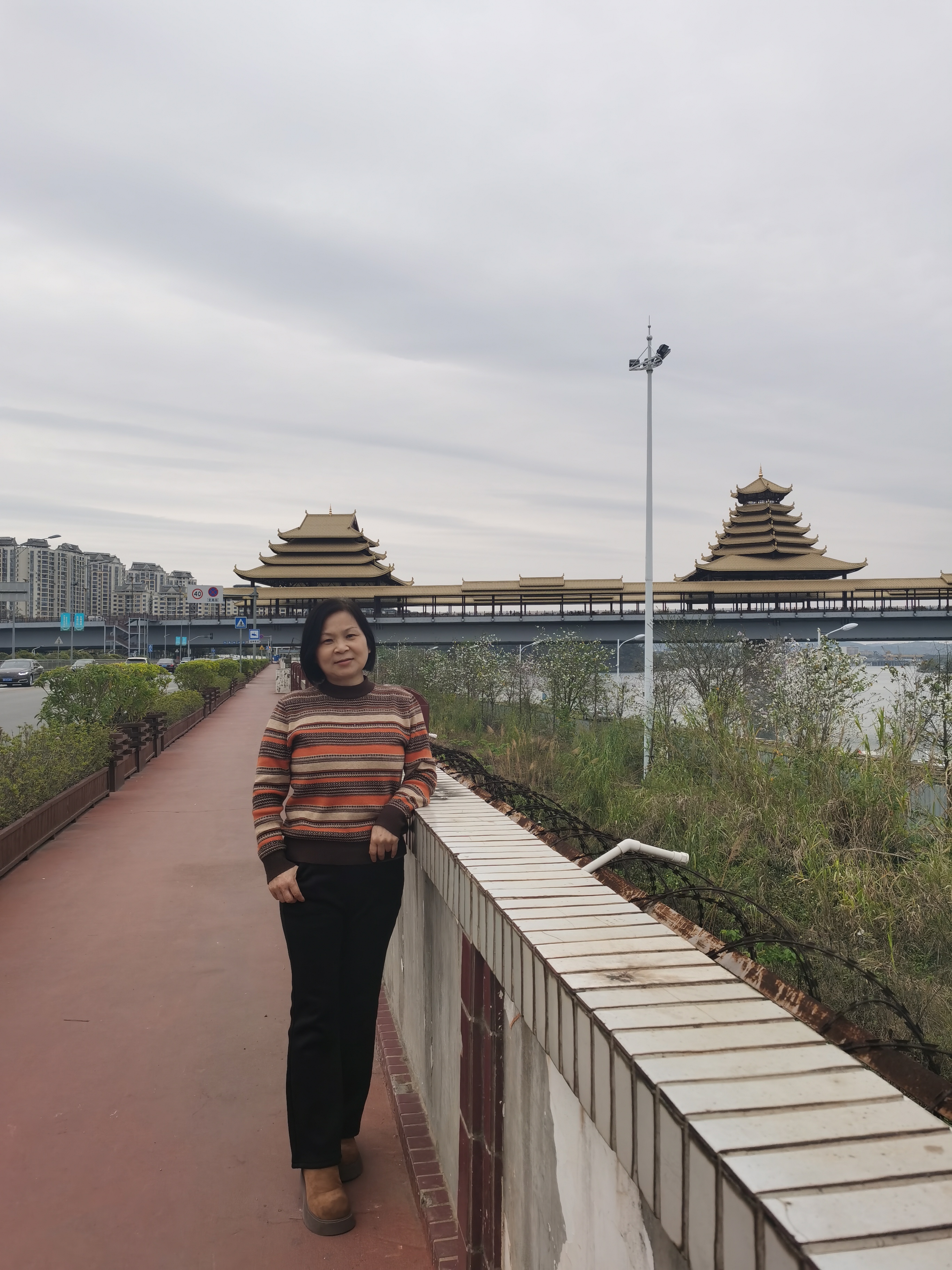 何阿姨照片