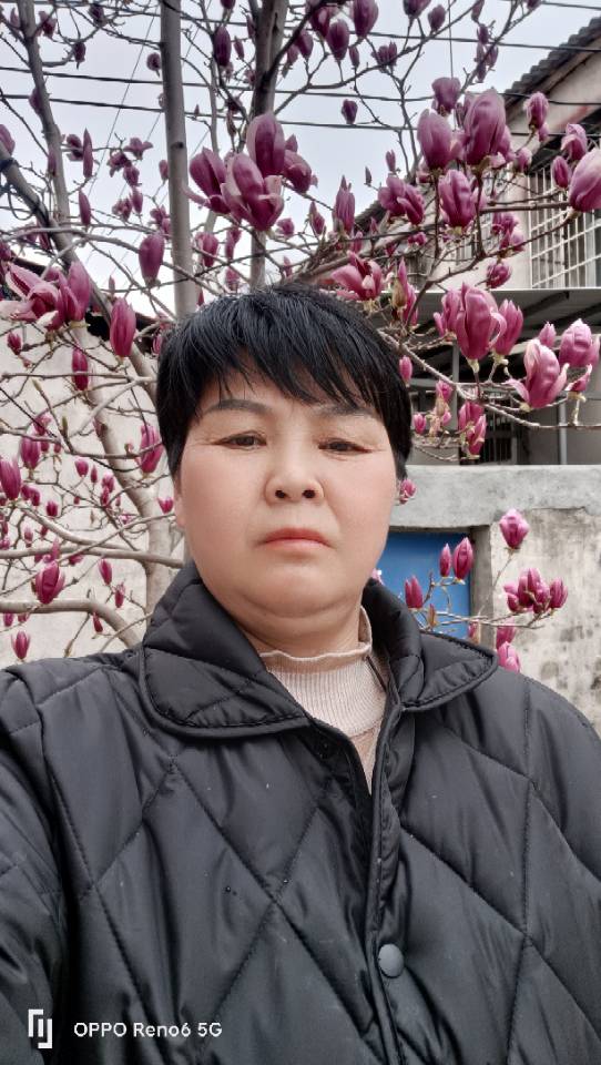 廖阿姨照片