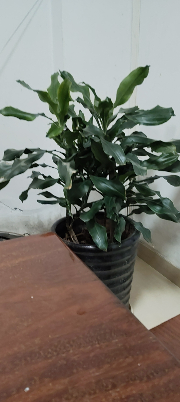 任护工照片