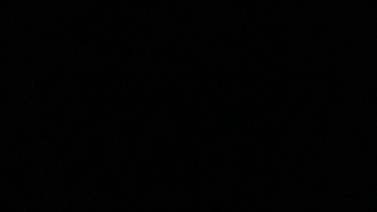 陈阿姨照片