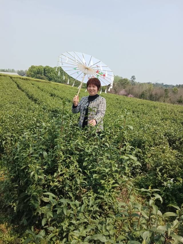 唐阿姨照片
