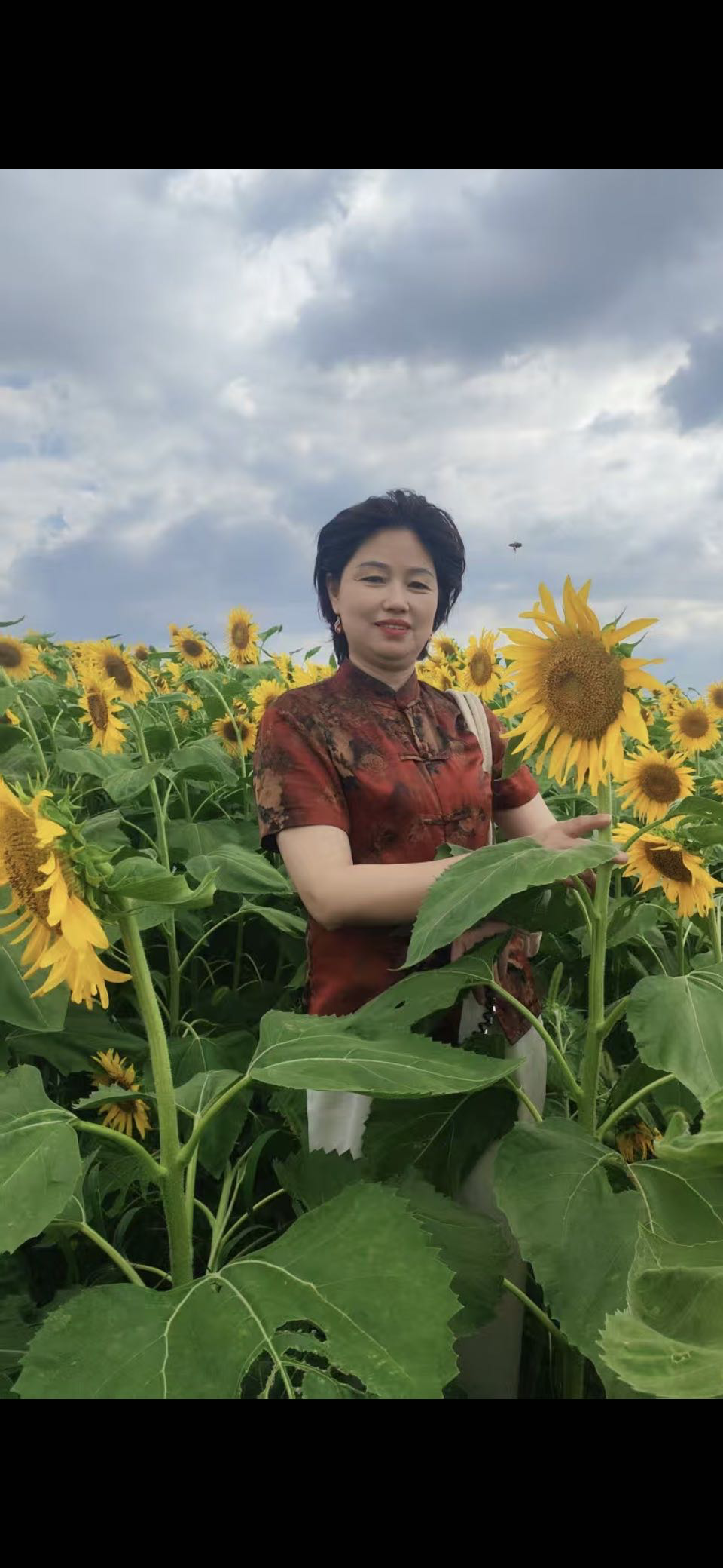 宋阿姨照片