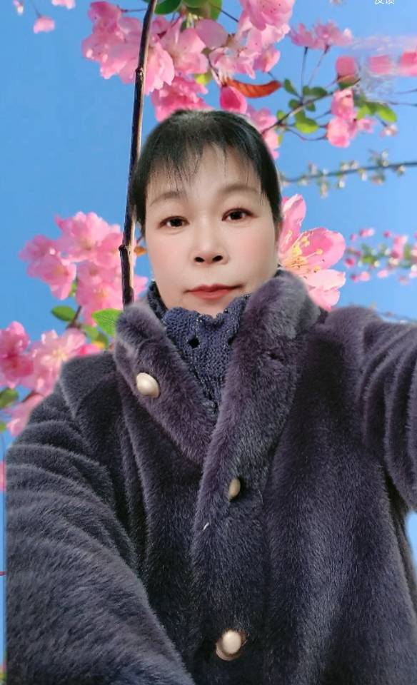 何阿姨照片