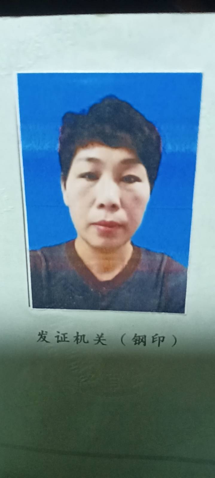 阿姨资料照片