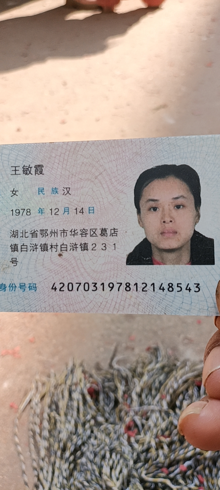 王阿姨照片