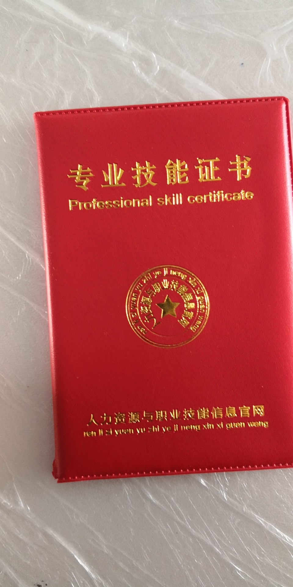 裴阿姨照片