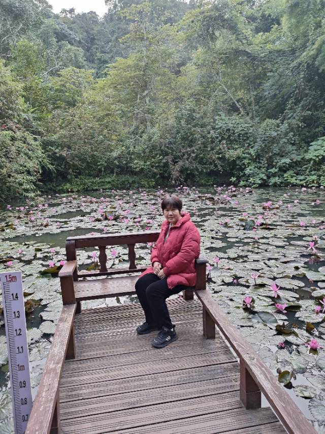 陈阿姨照片