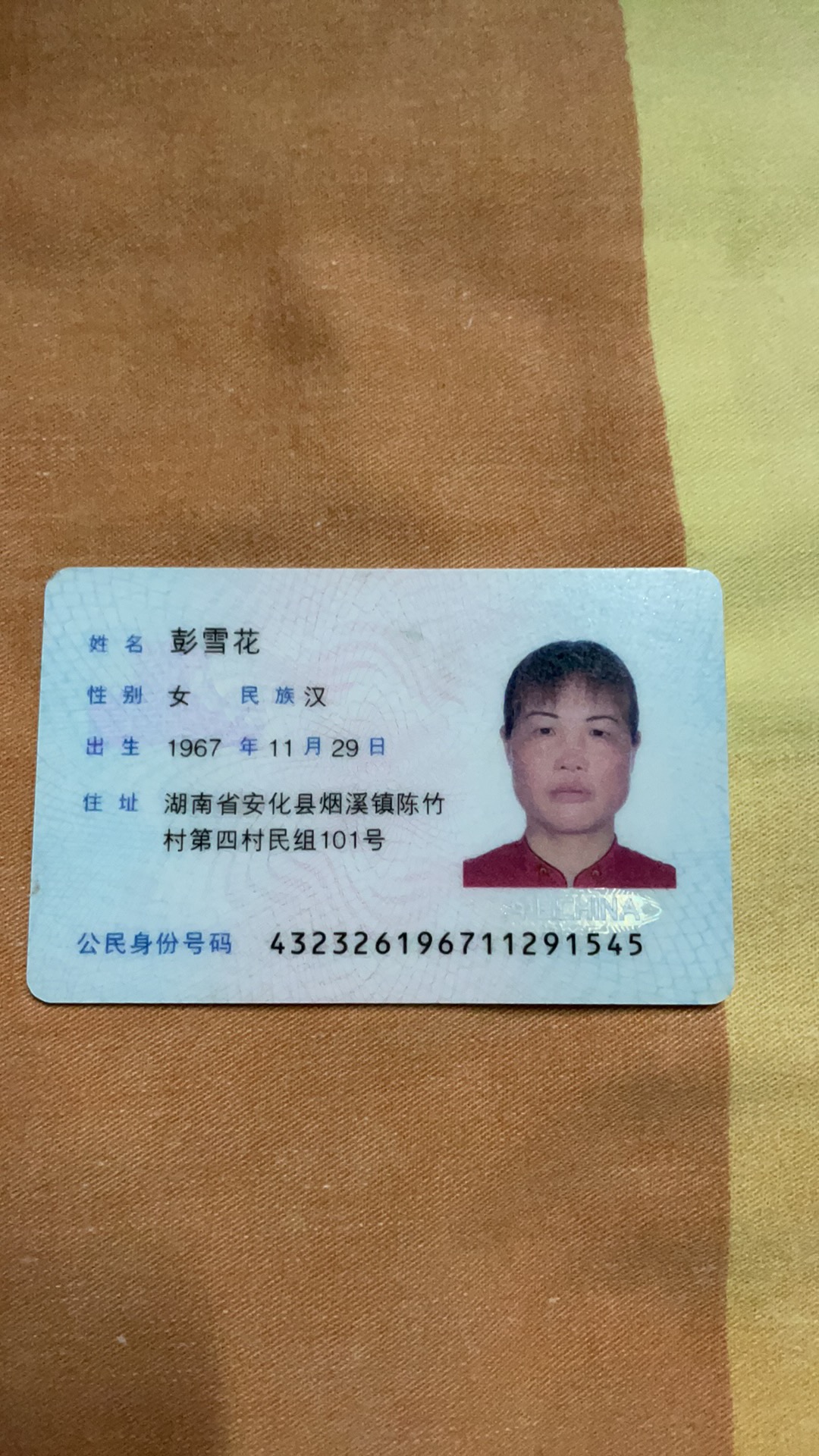彭阿姨照片